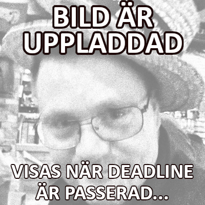 Oddsbild